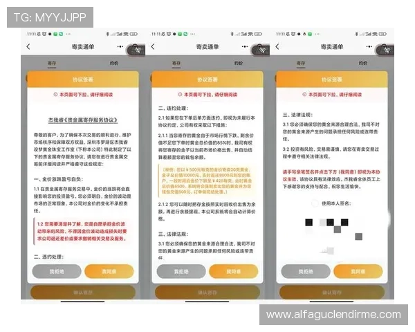 深入了解ds视讯官方官站的充值与提现流程与技巧
