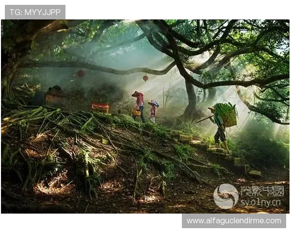 AG国际厅登陆遇到问题怎么办？全面解决方案助你快速解决登录难题